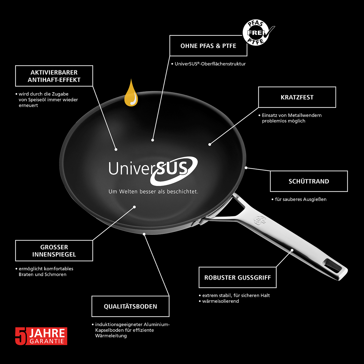 Eigenschaften_Grafik_Astral_UniverSUS_Wok_1