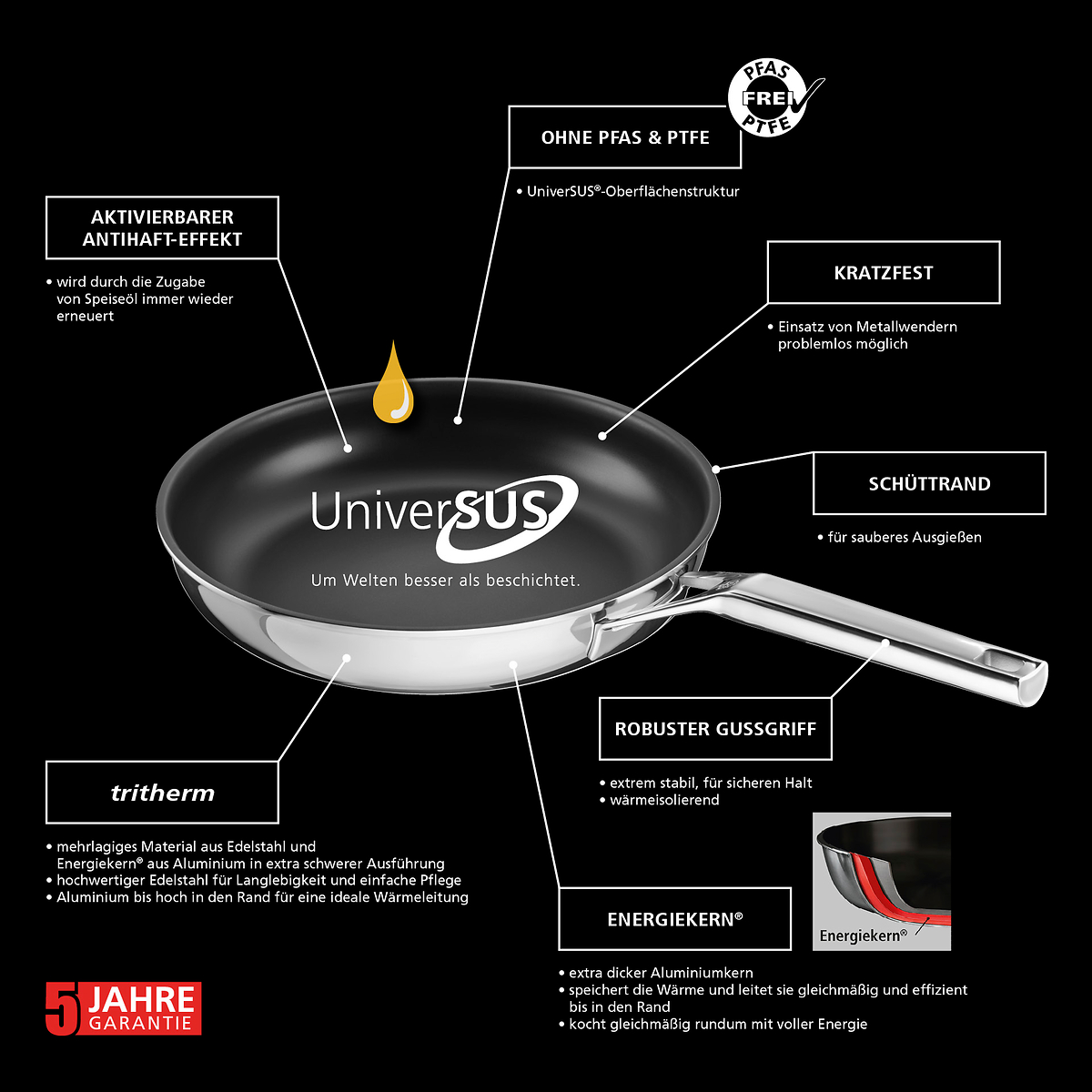 Eigenschaften_Grafik_Web_Quasar_UniverSUS_Bratpfanne