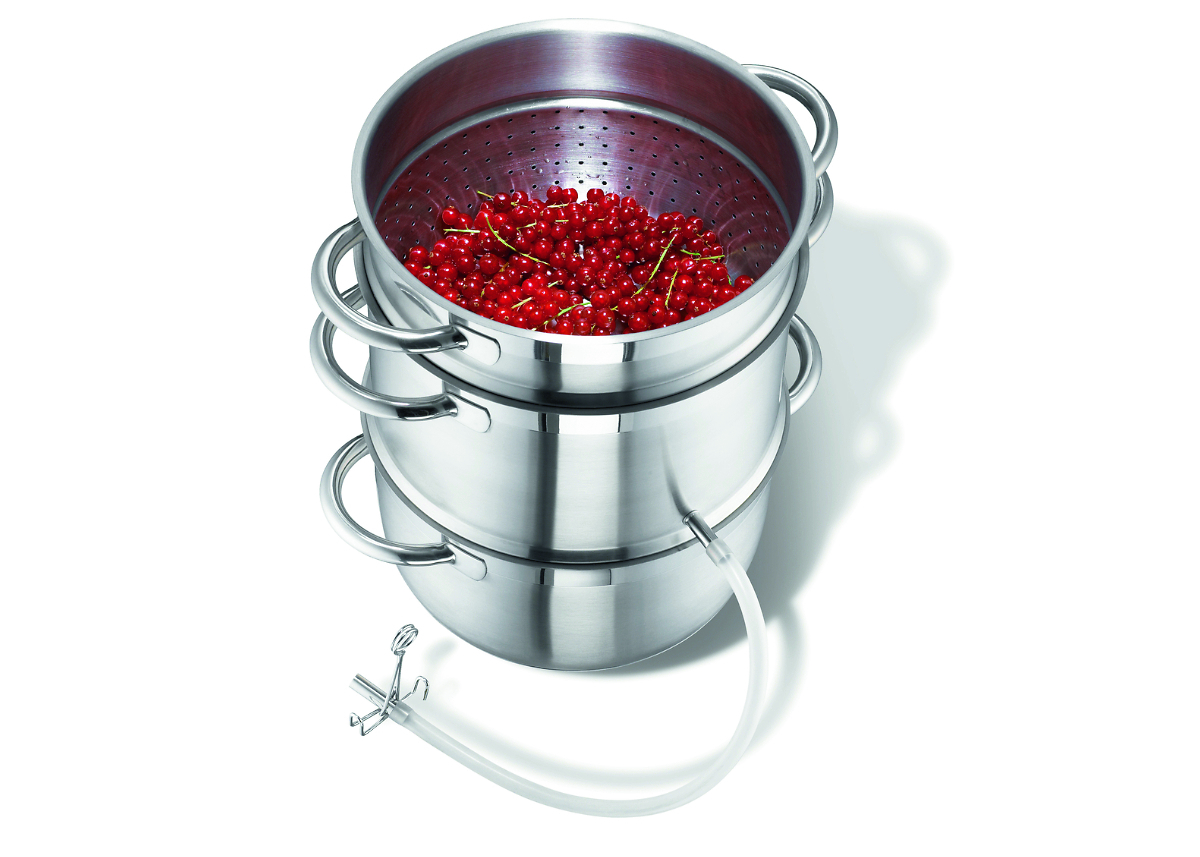 67940-26_Dampfentsafter_Loop_Beeren